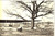 1962 municipal building  lake forester_tiny